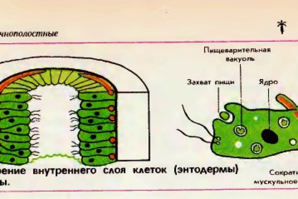 Официальный сайт даркнета