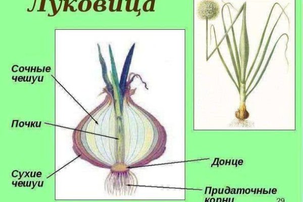 Кракен купить наркотики