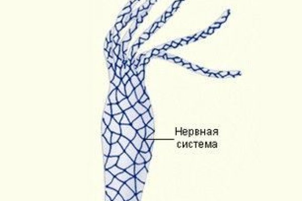 Кракен современный даркнет